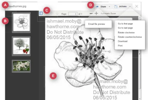 Table 10. File Viewer