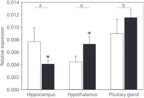 Fig. 1. Meanreceptor (white) and glucocorticoid receptor (black) in the hippocampus,hypothalamus and pituitary gland in all females