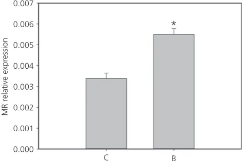 Fig. 3. Mean(MR) ratio in the hippocampus of prenatal control (C) and prenatallystressed (B) quail