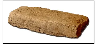 Figure 1.  The brick as a unit for the grid pattern at Harappa  
