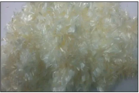 Figure 1. Polyvinyl alcohol fibers 