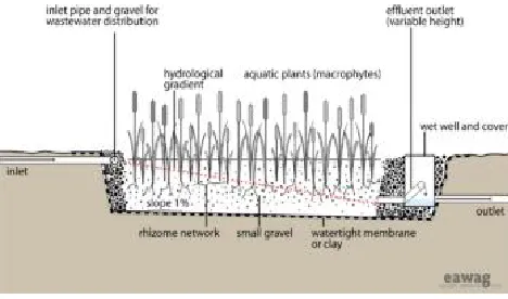 Fig 3. shows schematic cross section of a horizontal flow constructed wetland. It is called HF wetland because the wastewater is fed in at the inlet and flow slowly through the porous substrate under the surface of the bed in a more or less horizontal path
