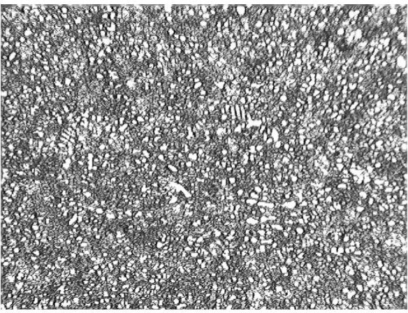 Figure 1. The microstructure of the plain LM24 aluminum alloy. 