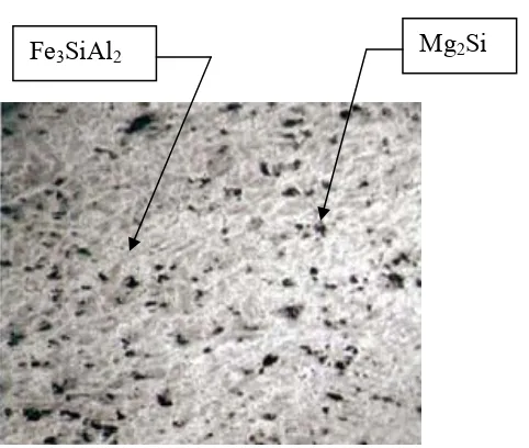 Figure 4. Optical Photomicrograph of           Al-TiB composite 