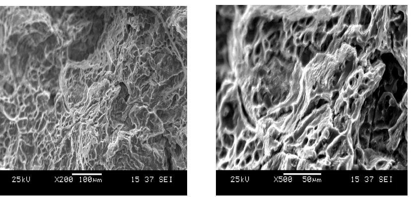 Figure 6.  SEM Fractographs of Al 6061.  