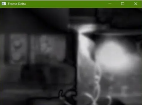 Figure 6.  The delta image view. The view was purposely computed to produce such a blurry picture