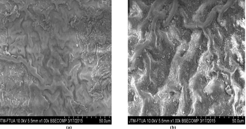 Figure 8.  SEM image of cassava (                          Manihot utilissima) leaves powder; (a) before adsorption of Cd (II) ions; (b) after adsorption of Cd (II) ions  