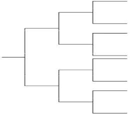 Figure 1. A wavelet packet decomposition tree. 