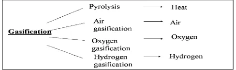 Fig 1: Gasification Processes 
