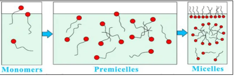 Figure 7.2: Schematic diagram of surfactant increased concentration [12].  