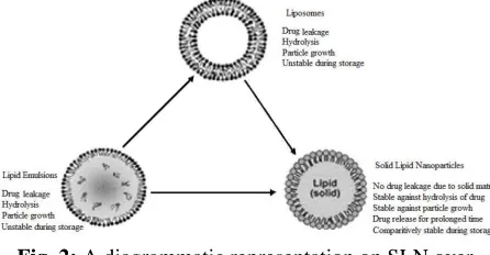 Fig. 1:  Structure of solid lipid nanoparticle (SLN)  