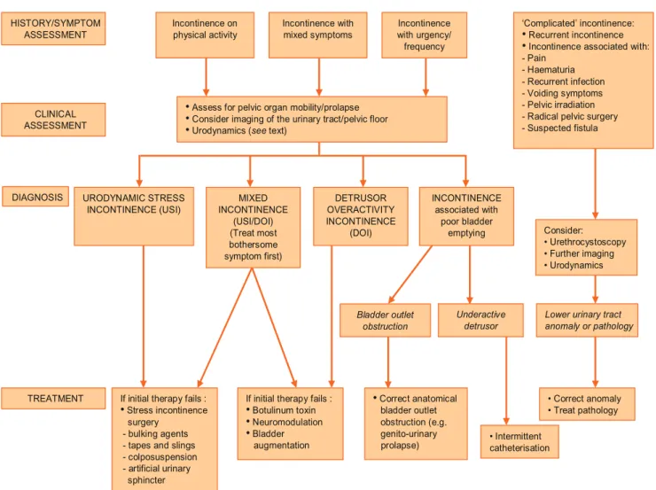 Table 8 – Possible confounding variables for the success of surgery for stress urinary incontinence in women