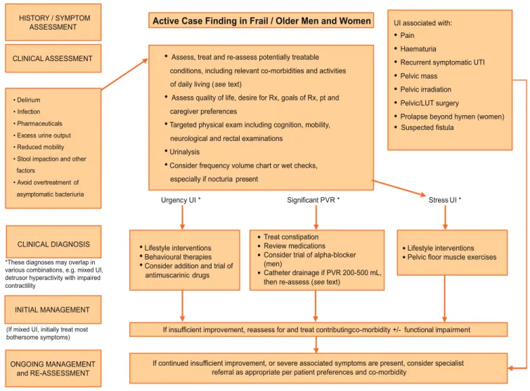 Table 11 – Recommendations for drug therapy in frail older persons with urinary incontinence