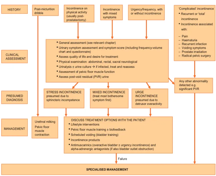 Fig. 1 – Algorithm for initial management of urinary incontinence in men.