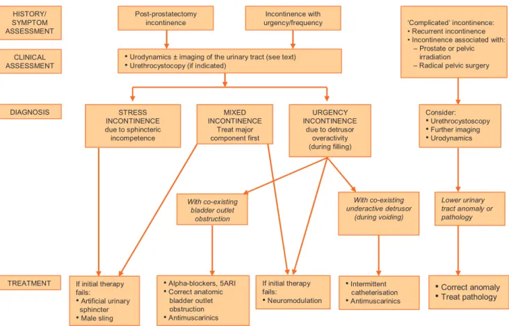 Fig. 2 – Algorithm for specialised management of urinary incontinence in men.