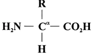 Figure 1.1: The general formula of an amino acid.