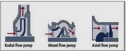 figure 1)  