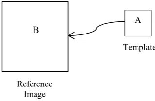 Fig. 1. (a) View of the open heart (b) Mitral annulus  
