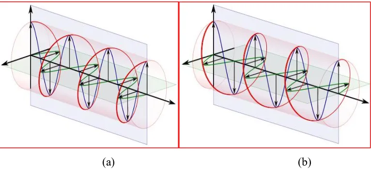 Figure 2.6: Circular Polarization: (a) Left Hand Polarization and (b) Right Hand
