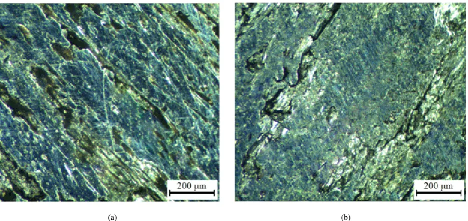 Figure 11.  Optical microscopy image of worn surface at 46 N with velocity (a) 0.6 m/s, (b) 0.9 m/s 