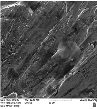 Figure 13.  Optical microscopy image of worn surface at 64N with velocity (a) 0.6 m/s, (b) 0.9 m/s 