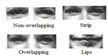 Fig. 5 Different types of periocular regions. 