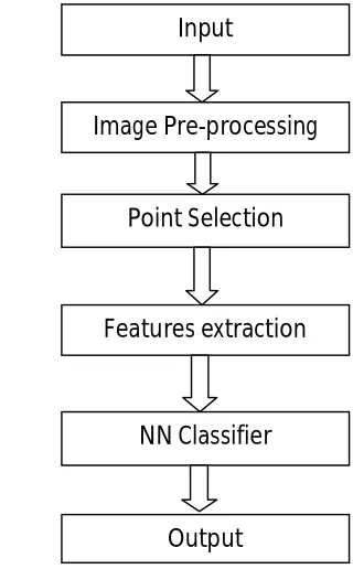 Figure 1:   A proposed approach 