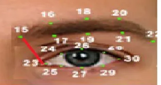 Figure 3: Distance between eyebrow and eye.  