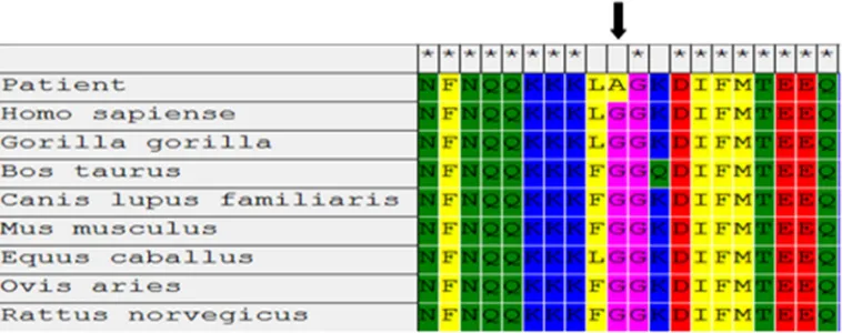 Figure 3. 1306 is completely conserved among all NaMultiple sequence alignment of a part of exon 22 from various species