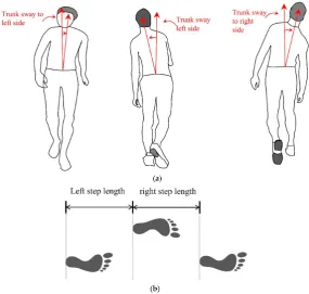 Figure 2. Illustration of trunk sway and step length. (a) Trunk sway; (b) Step length.