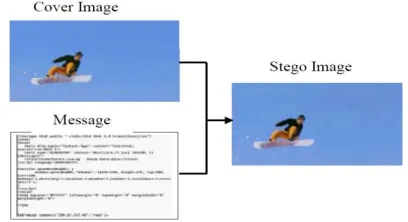 Fig. 1. Producing Stego-Image Process 