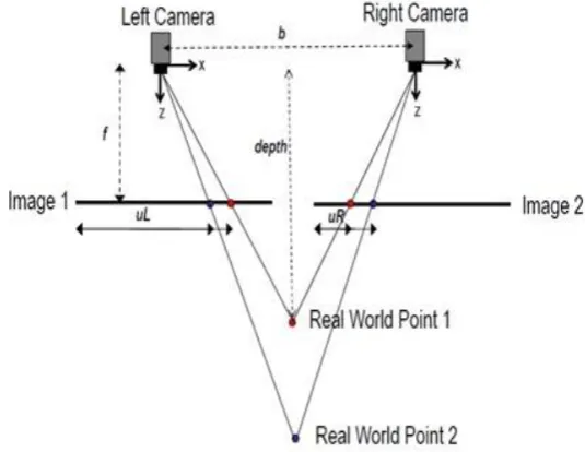 Figure 2.10: Stereo cameras layout    