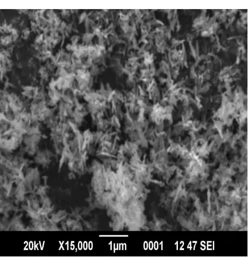 Fig 5: TEM micrograph of CuO nanoparticles   