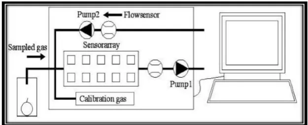 Figure 2.2 : The schematic diagram of the electronic nose to detect the mandarin [14] 