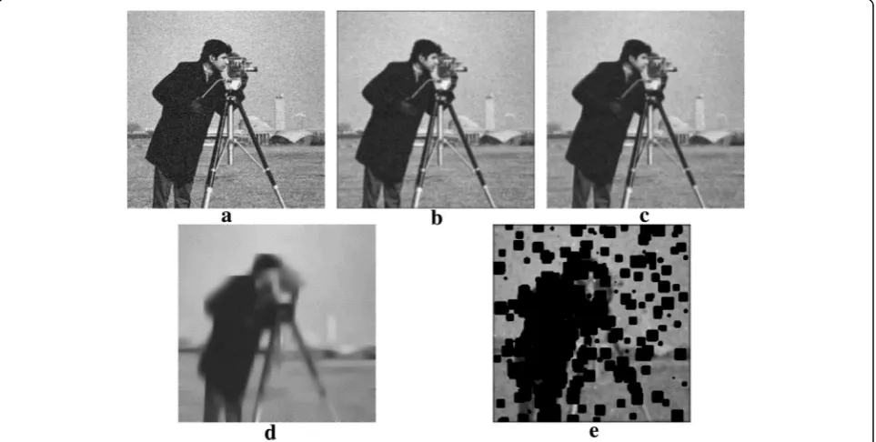 Fig. 1 Comparison of a noisy image, b PM as a smoother at n = 5, c FORADF as a smoother at n = 5, d FORADF at n = 25, and e the spreadingeffect in PM