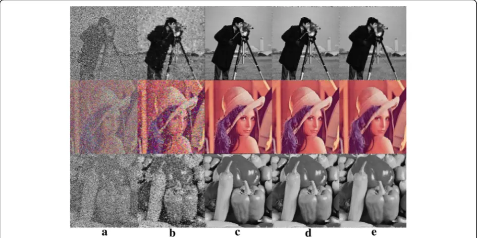 Fig. 2 Performance of20% density for a RF (λ = 0.25), b AMD (λ = 0.25), c AADF (λ = 0.25), d FORADF (λ = 0.25), e FORADF (λ = 1) for salt and pepper noise at n = 5