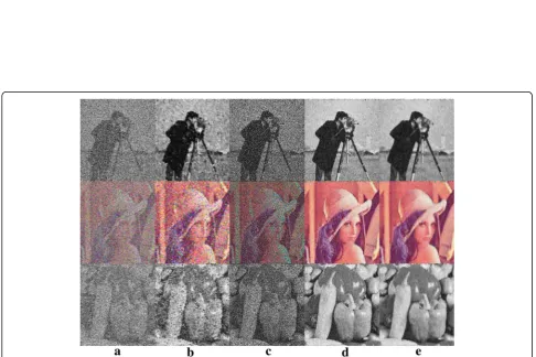 Fig. 4 Performance ofnoise. a RF (λ = 0.25), b AMD (λ = 0.25), c AADF (λ = 0.25), d FORADF (λ = 0.25), and e FORADF (λ = 1) for low density mixed λ represents the control parameter, and n represents the number of iterations