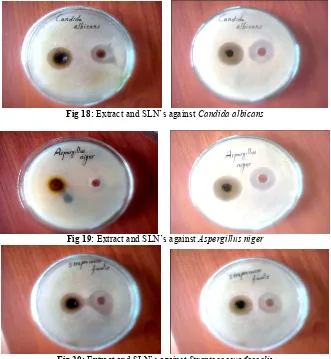 Fig 20: Extract and SLN’s against Streptococcus faecalis