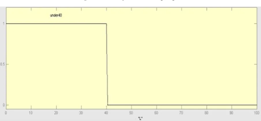 Figure 6.  Membership function for turn signal lights. 