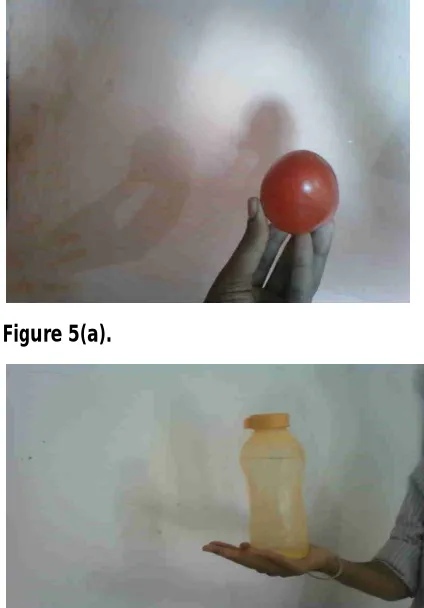 Figure 5(a). 