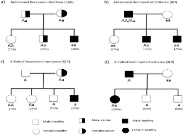 Figure 1. Mendelian modes of Inheritance (a) autosomal recessive inheritance. In this case individual who receives just one mutated allele (AA, Aa) would be affected