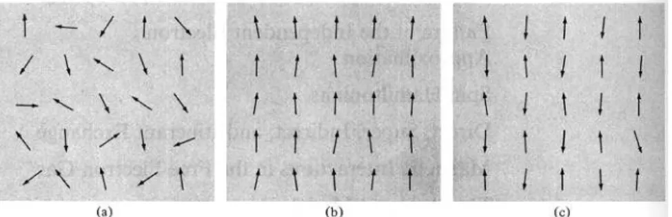 Figure 8.7: Schematic illustration of the distribution of directions of the local magnetic moments connected to “individual magnets” in a material