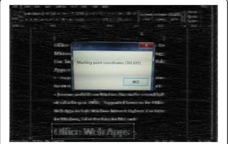 Fig. 9 Selected area of the image at frame 0