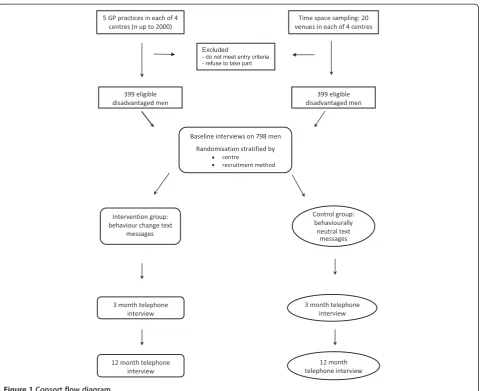Figure 1 Consort flow diagram.