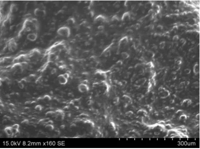 Figure 9: Surface morphology of Solid SEDDSHCl self emulsifying drug delivery system”, 