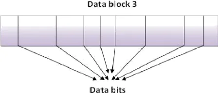 Fig. 3.  A data block of the file F with random bits selected in it 