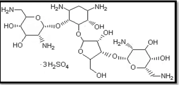 Fig 2: Structure of Neomycin Sulphate. 
