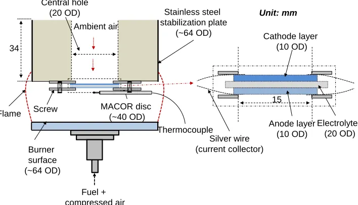 Figure 1. Schematic of experimental setup for DFFC. 