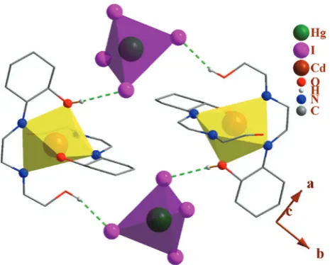 Fig. 2: Packing of atoms involved in hydrogen bonding are shown. HgI1, showing the hydrogen bonds