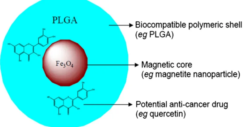 Figure 10: Structure of a magnetic nanoparticle  
